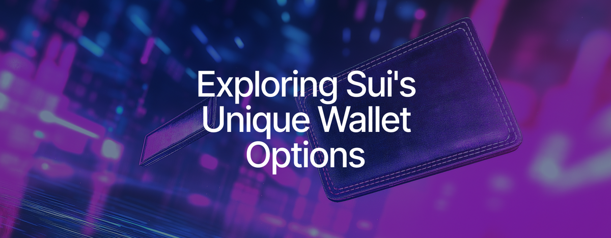 The Spectrum of Wallet Options on Sui