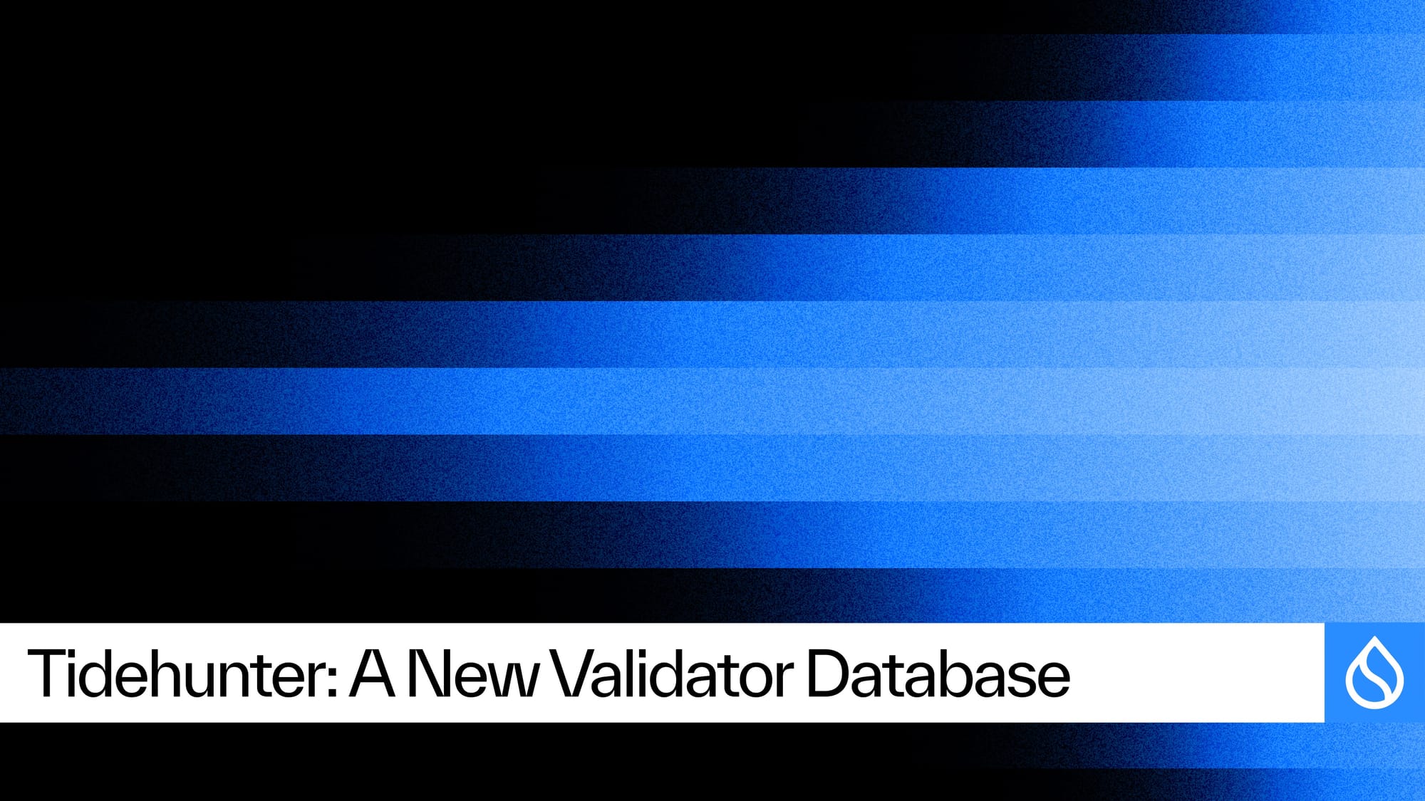 Tidehunter: Re-Architecting Storage for Sustained Blockchain Throughput