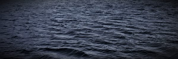 SUI Token Community Access Program