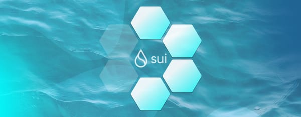 Dynamic Fields and Collections - Encode Club Sui Series #4