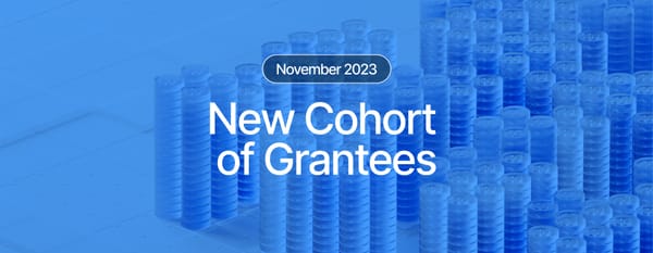 New Cohort Receives Over $500K in Sui Foundation Grants