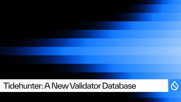 Tidehunter: Re-Architecting Storage for Sustained Blockchain Throughput