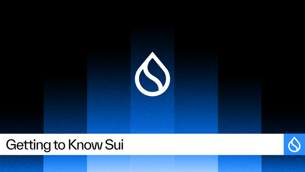 Getting Started on Sui: What is Sui?