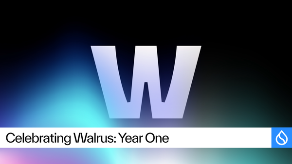 Celebrating One Year of Walrus: What’s Been Built and What’s Next for Verifiable Data