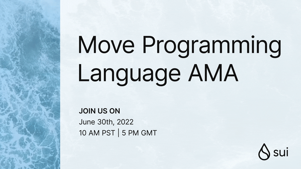 Recap 6/30 Sui AMA: Move Programming Language with Sam Blackshear
