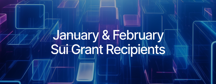 Sui Foundation's Grant Awardees: January-February Edition