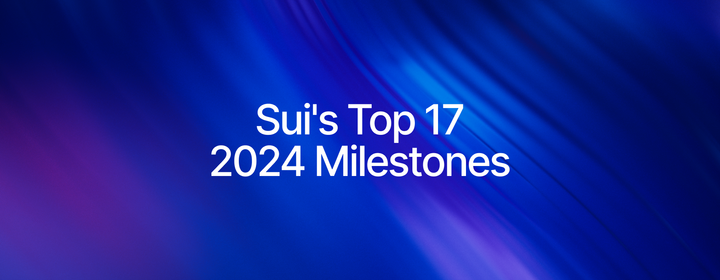 Sui's 17 Biggest Hits of 2024